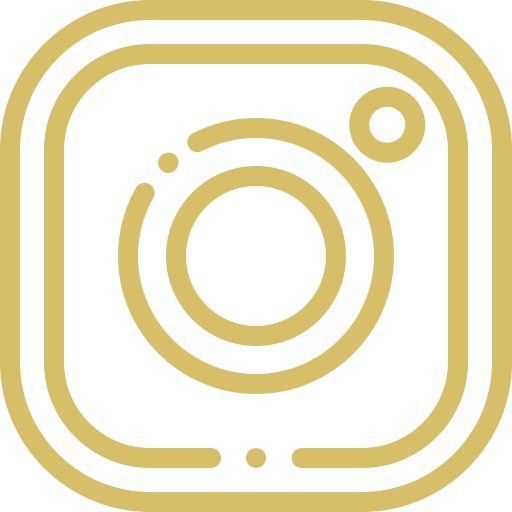 Instagram Icon